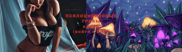 a pvp Краснослободск