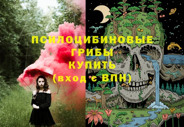 a pvp Краснослободск