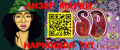 прущие грибы Ирбит