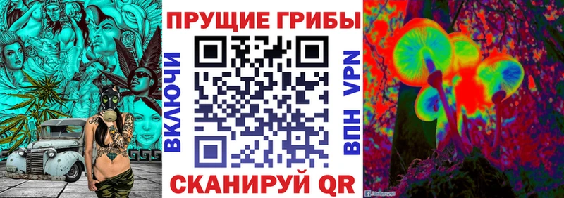 даркнет сайт  Фрязино  Галлюциногенные грибы мухоморы 