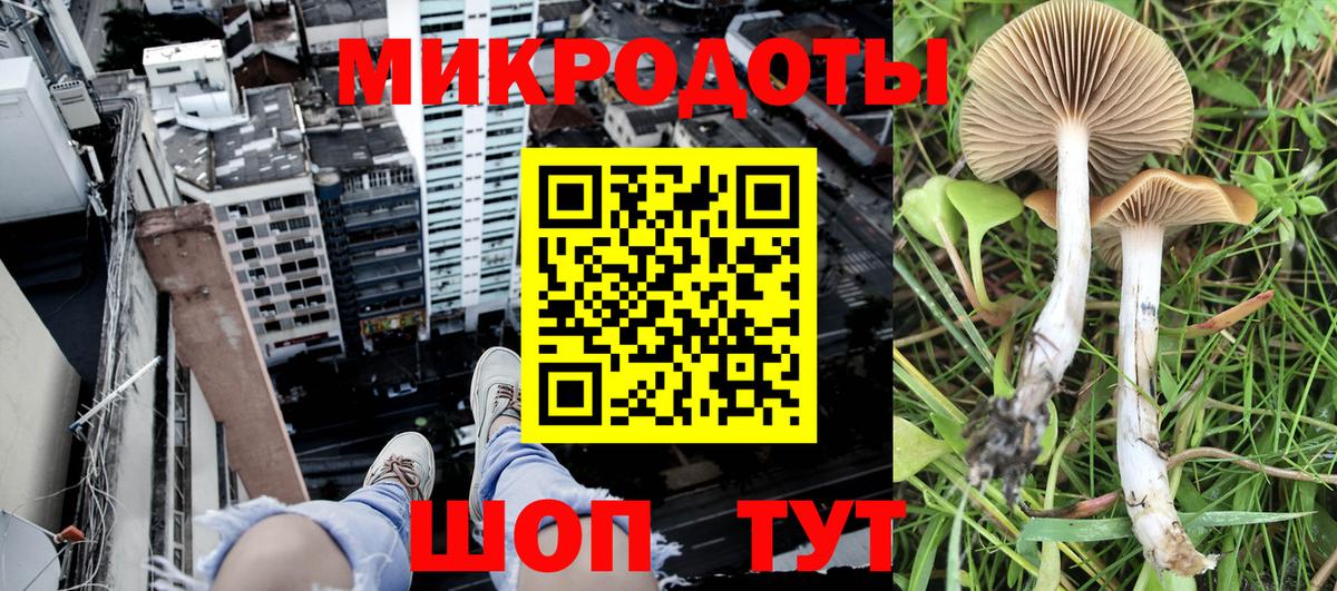 Псилоцибиновые грибы ЛСД Фрязино